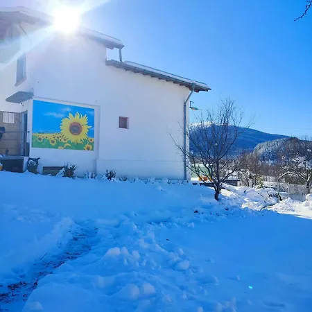 балканъ 招待所