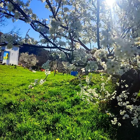 招待所 балканъ *