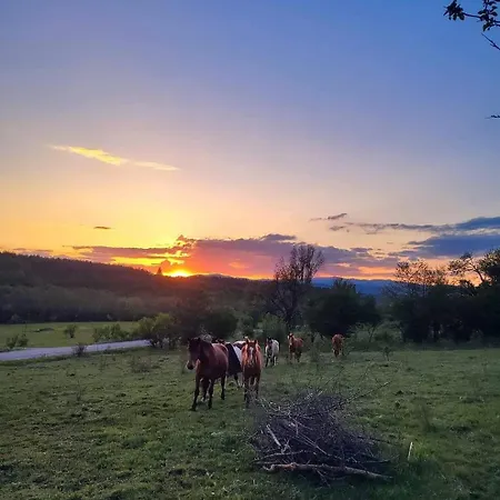 балканъ 丘斯滕迪尔
