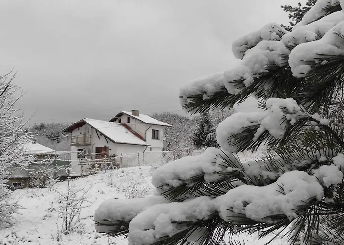 балканъ Konukevi *