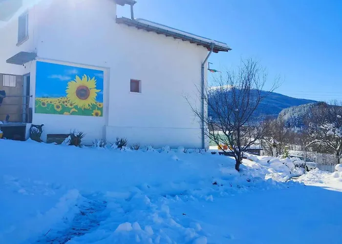 балканъ Konukevi