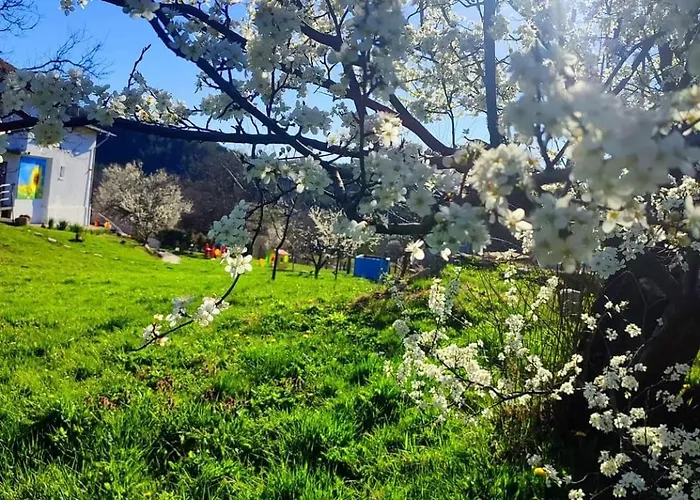 Konukevi балканъ *