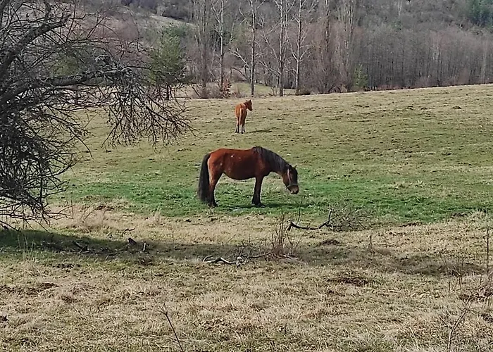 Konukevi балканъ *